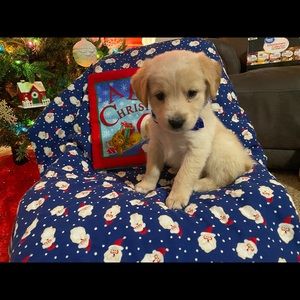 Meet your Posher, Elissa